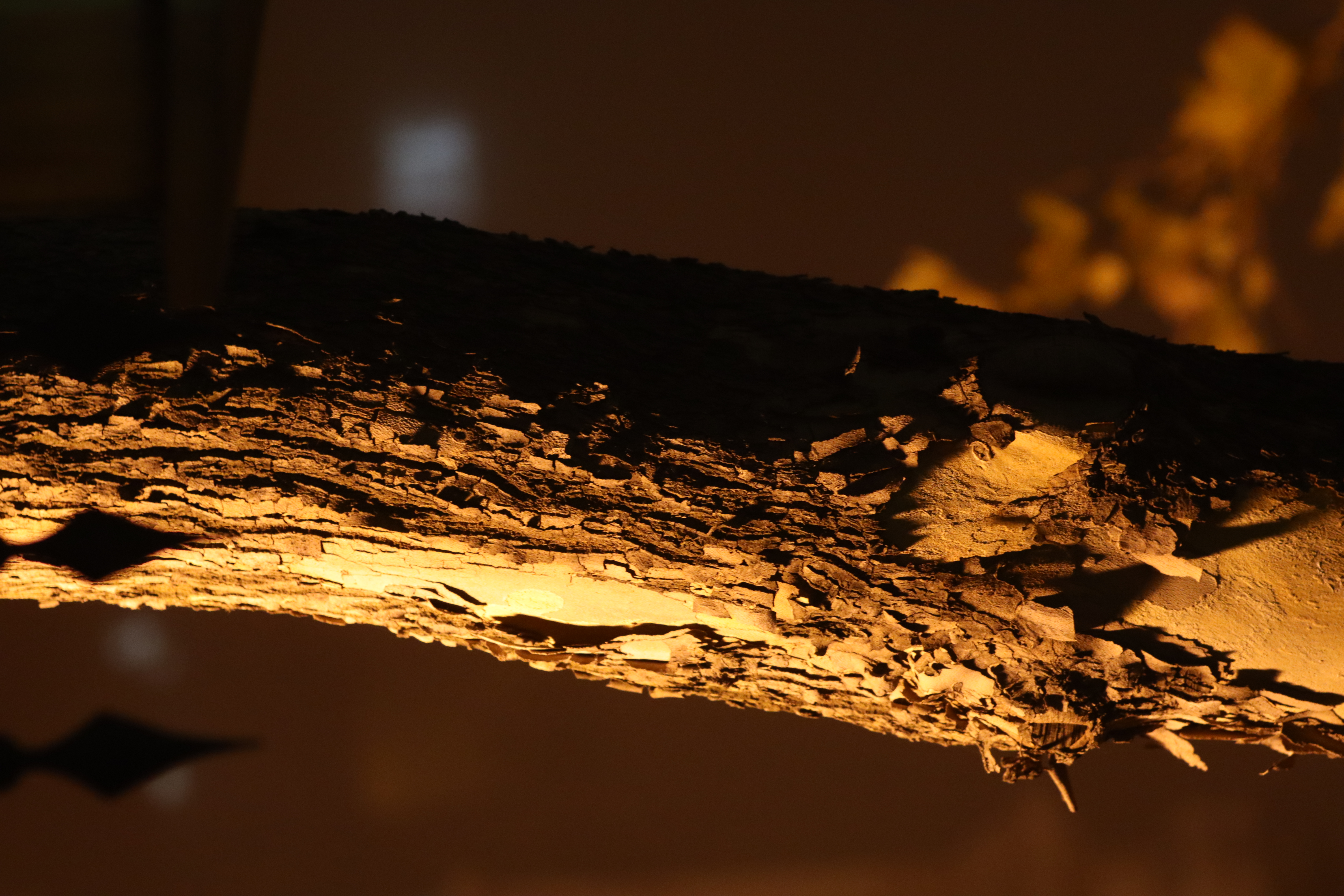 Imagine Pachet Majorat Foto